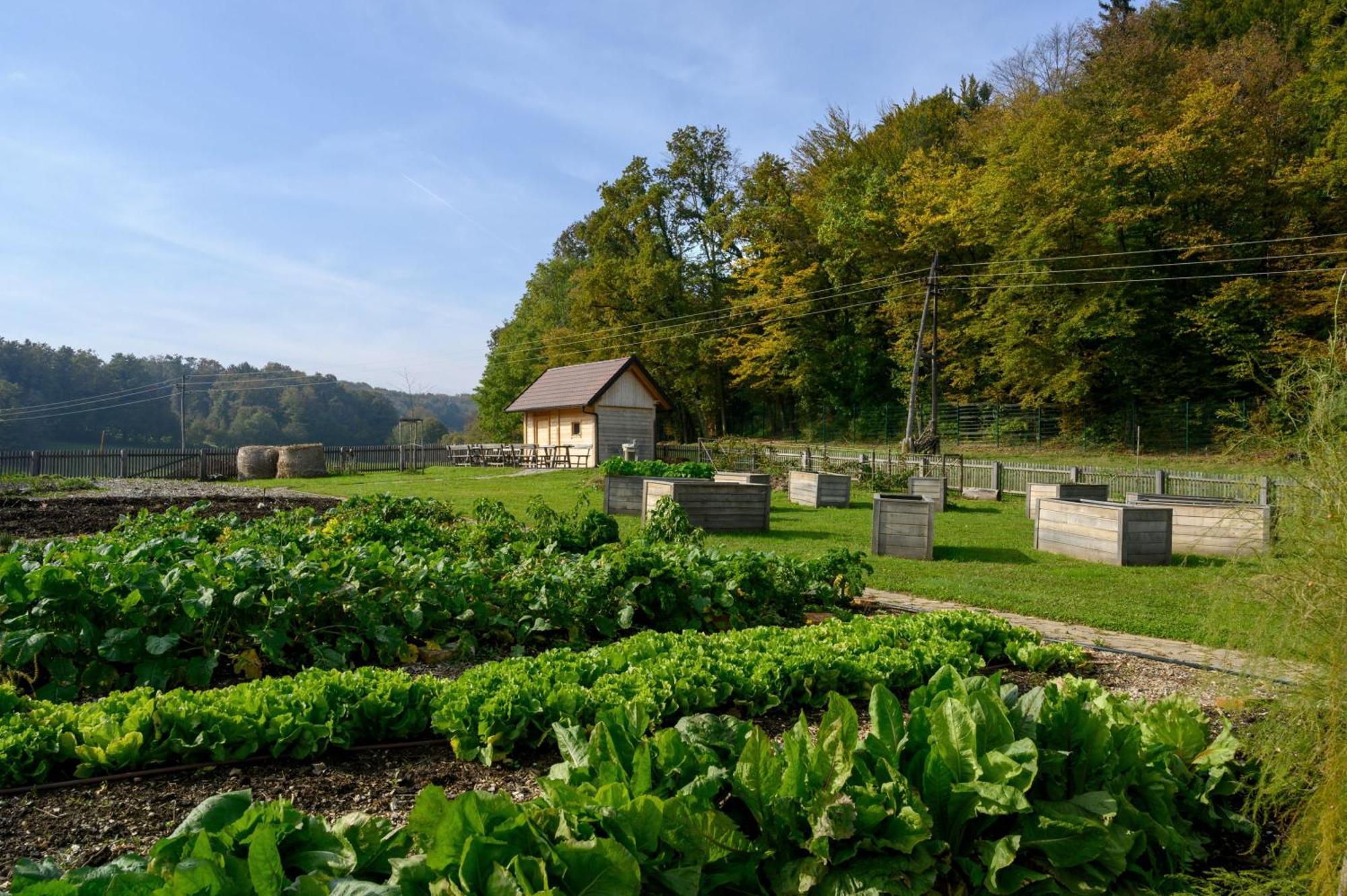 Hotel Grad Otocec - Relais Chateaux Exterior foto